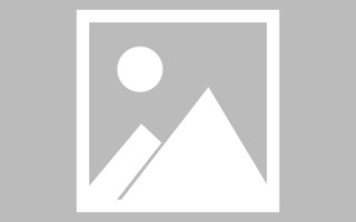 益阳新区景区网站建设（in art criticism,you must assume）